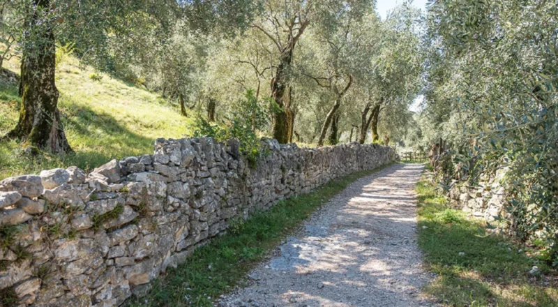 Brenzone sul Garda ph Explore Lake Garda