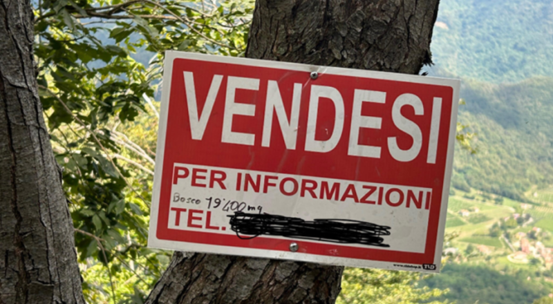 vendesi bosco