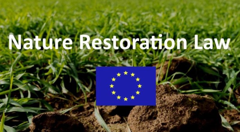 Nature Restoration Law