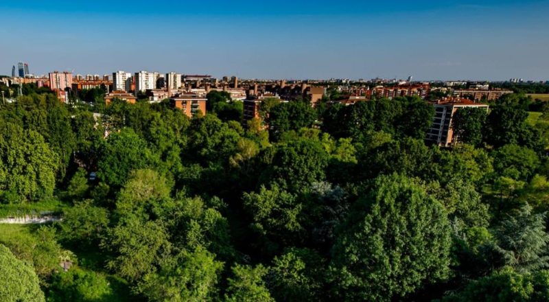 Bosco di Via Falck, Milano. Ph Comitato popolare per la difesa del Bosco di via Falck